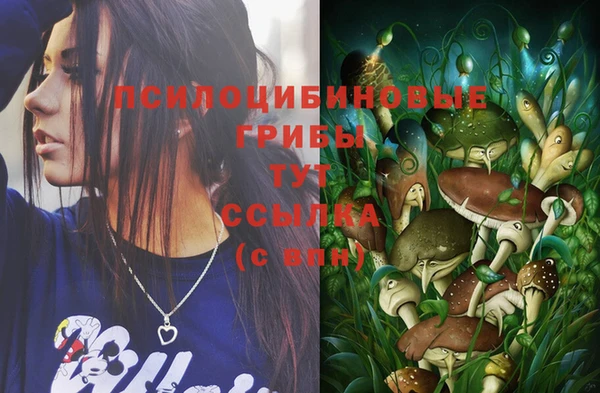 PSILOCYBIN Алексин