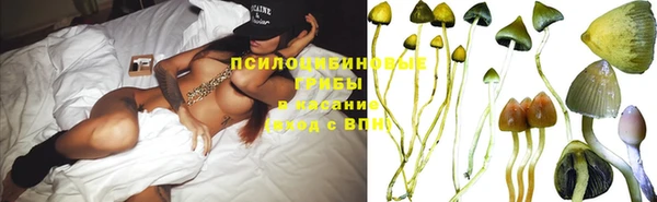 шишки Алзамай