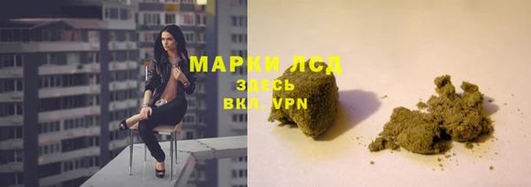 шишки Алзамай