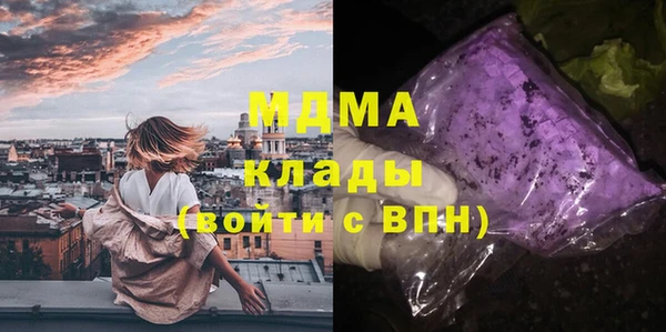шишки Алзамай
