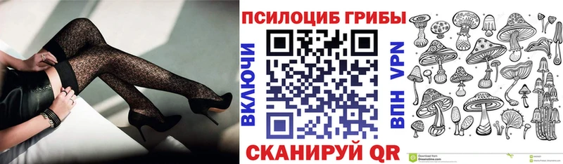 Псилоцибиновые грибы Psilocybine cubensis  это официальный сайт  Кимры 